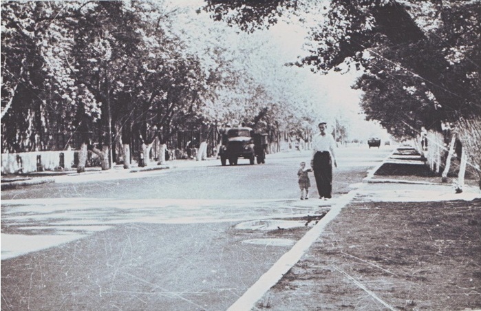 Садовая улица, лето, примерно 1958 год.