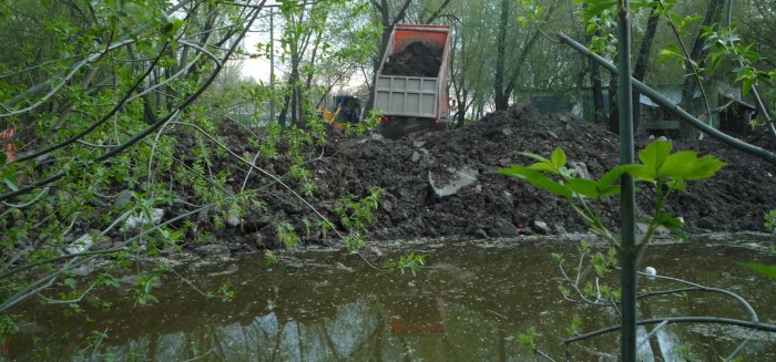 Пруд Чапаево Самарская Область