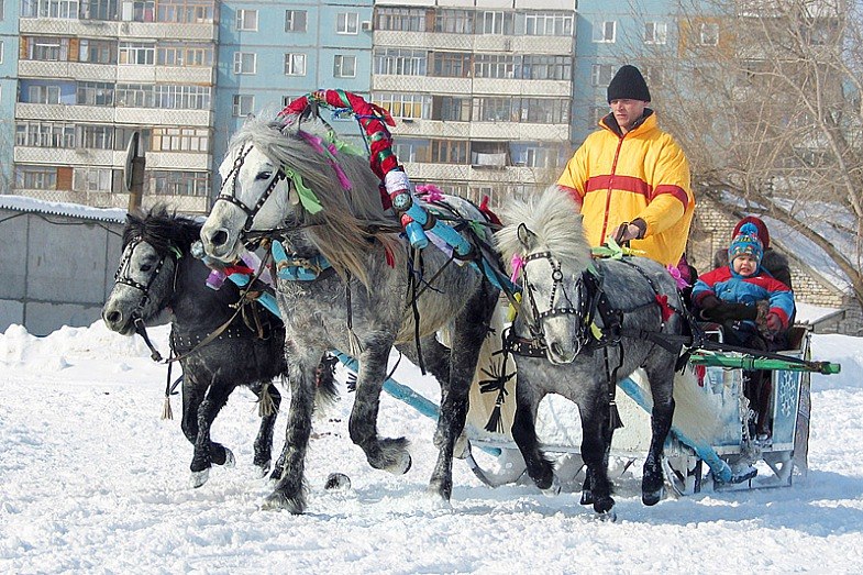 Самара ипподром фото