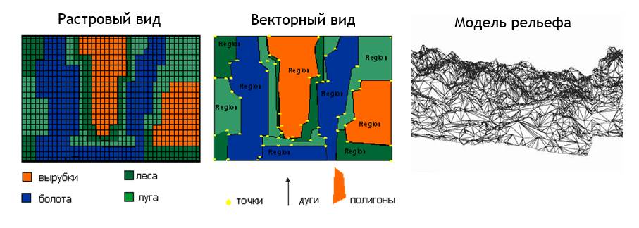 Чем отличается векторная карта от растровой