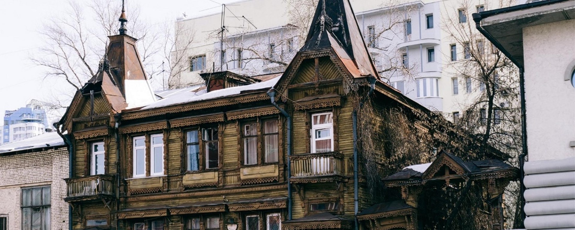 Дерево Самара Фото