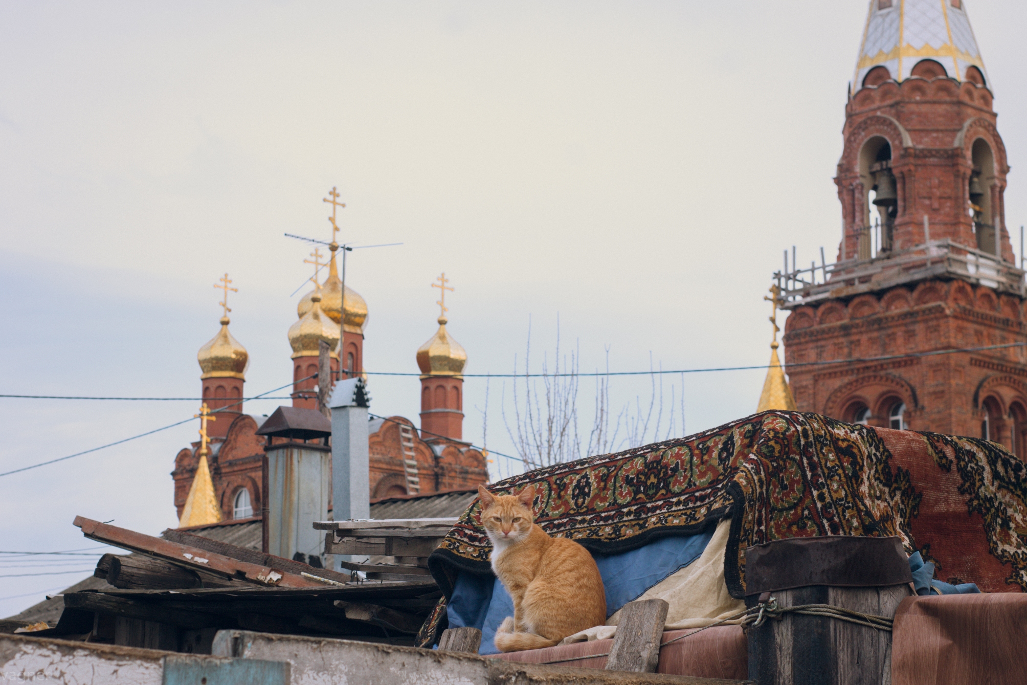 Фоторепортаж из поселка Запанской | Другой город - интернет-журнал о Самаре  и Самарской области