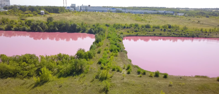 Красные озеры. Розовое озеро Самара. Красное озеро Самара. Розовое озеро Алексеевка. Самарская обл красная Самарка озеро.