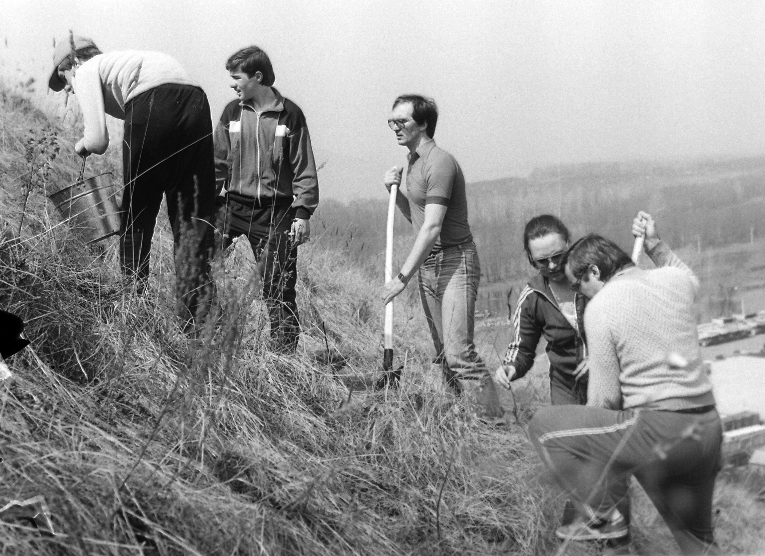 Предоставленные фотографии. Лето 1990 года. Загородный парк 1970. 1990г фото.