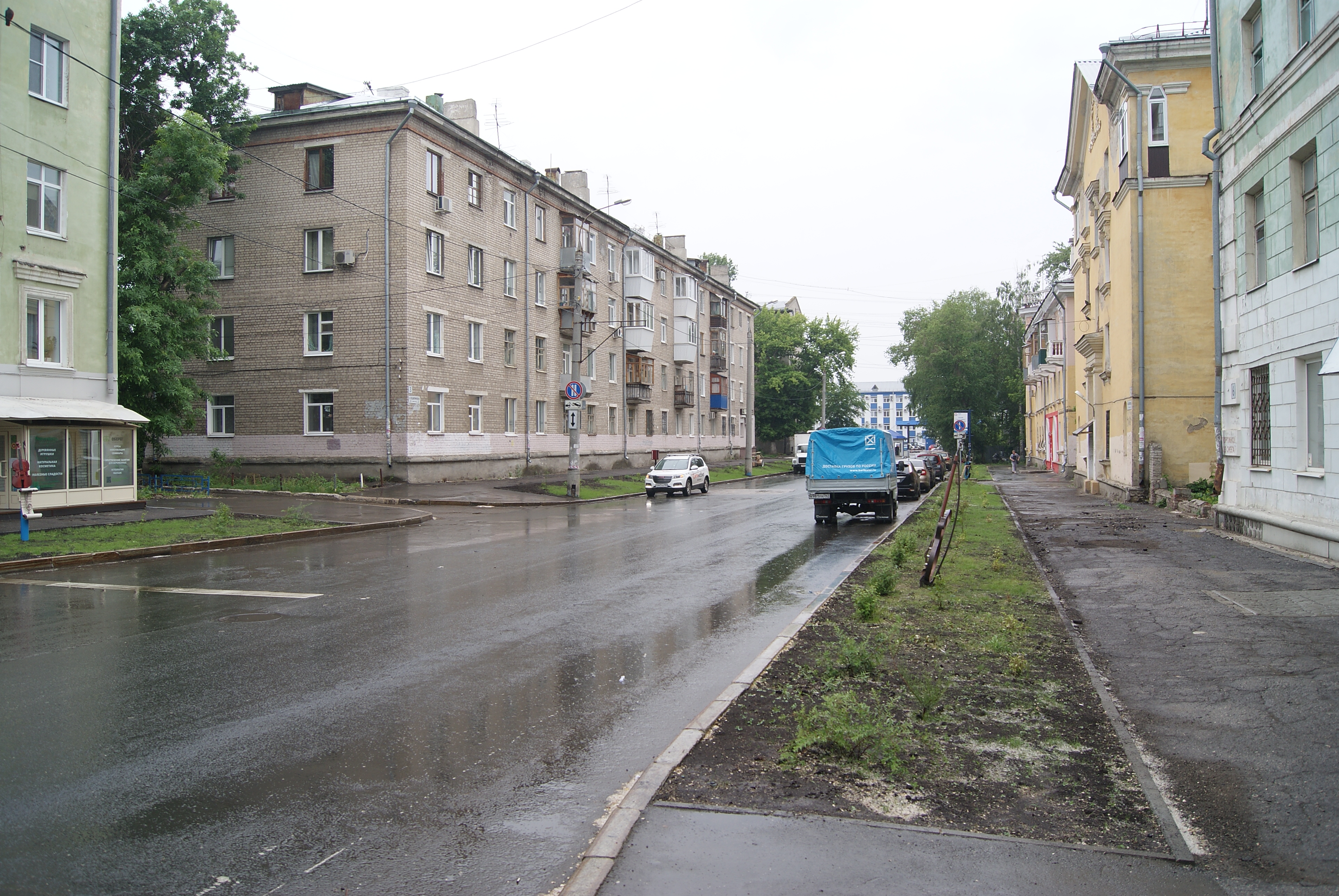 Топ-5 случаев масштабной вырубки деревьев в Самаре ради коммунальщиков |  Другой город - интернет-журнал о Самаре и Самарской области