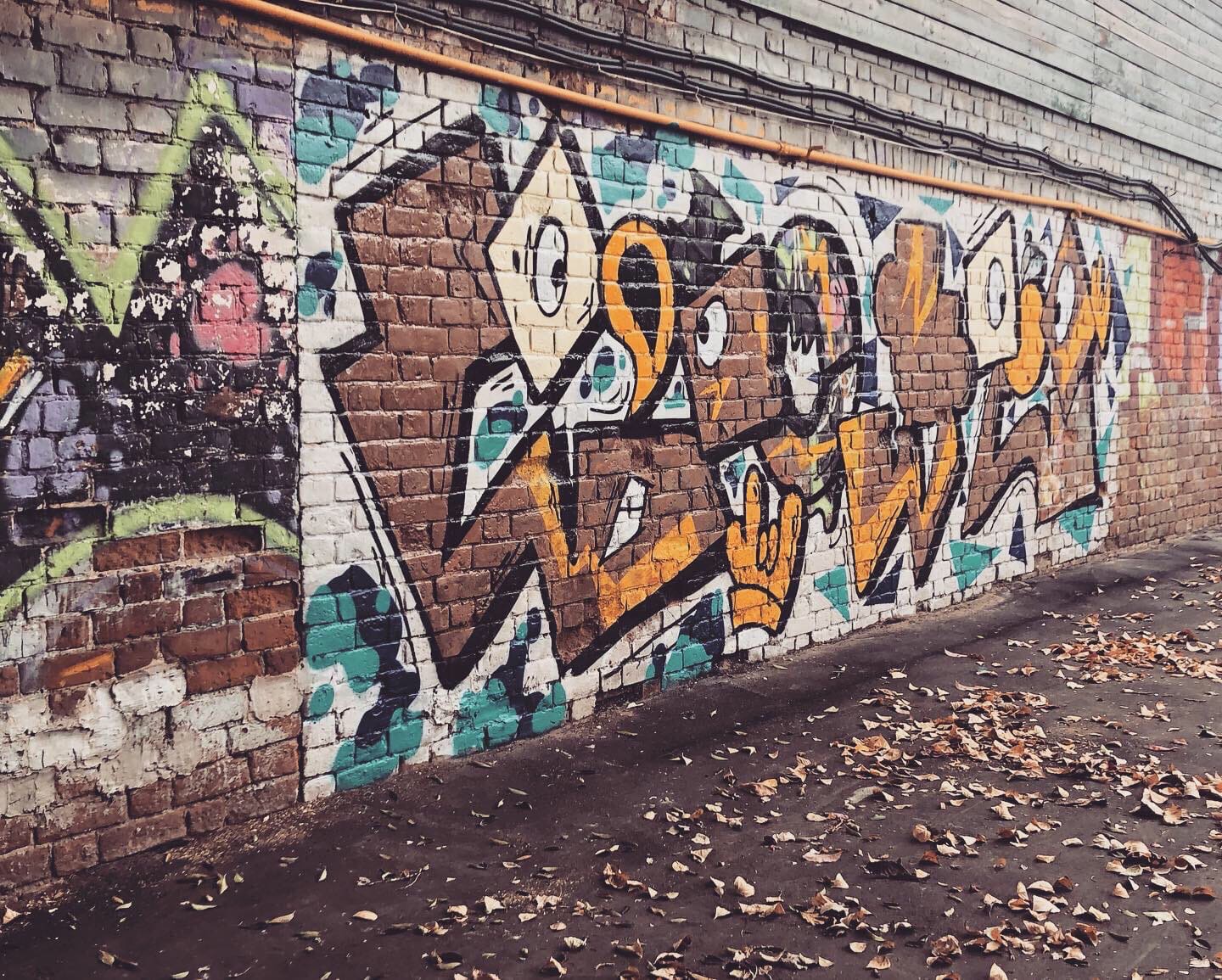 Мир самарских граффити