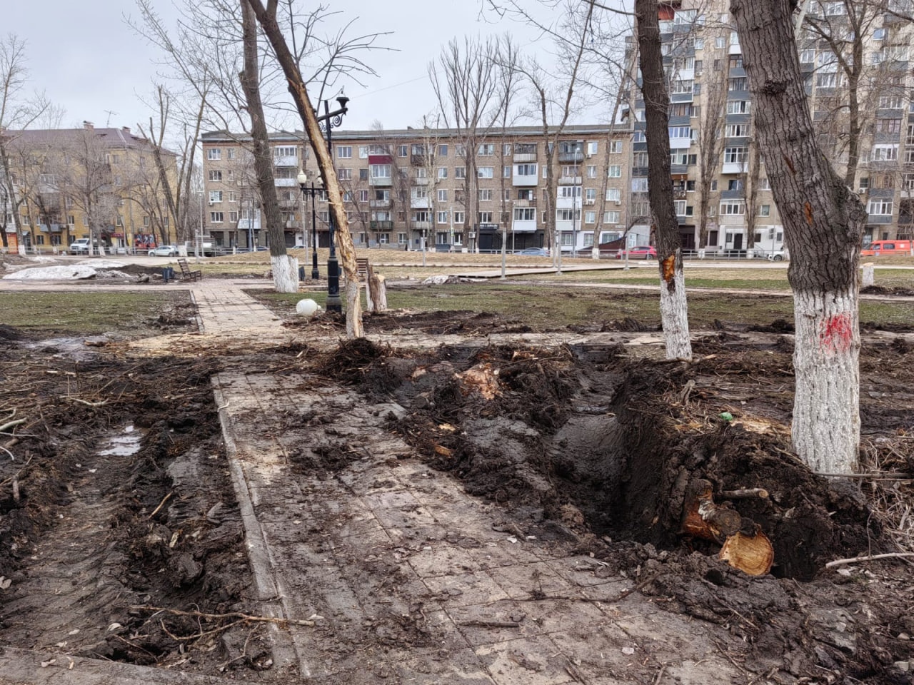 Жители Самары пожаловались на последствия вырубки деревьев в парке Мира |  Другой город - интернет-журнал о Самаре и Самарской области