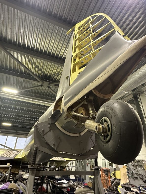 photo_2025-11-11_16-02-51