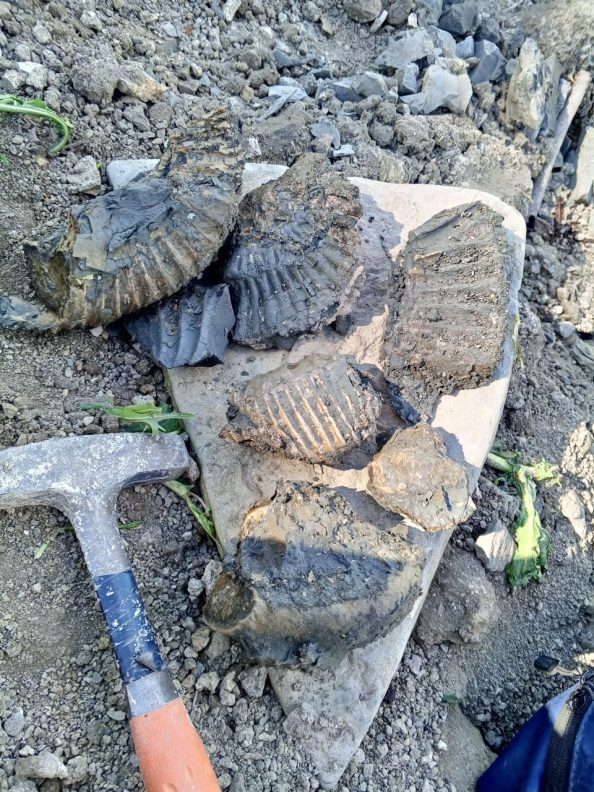 photo_2025-12-16_09-57-38