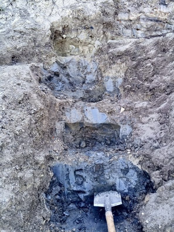 photo_2025-12-16_09-57-45