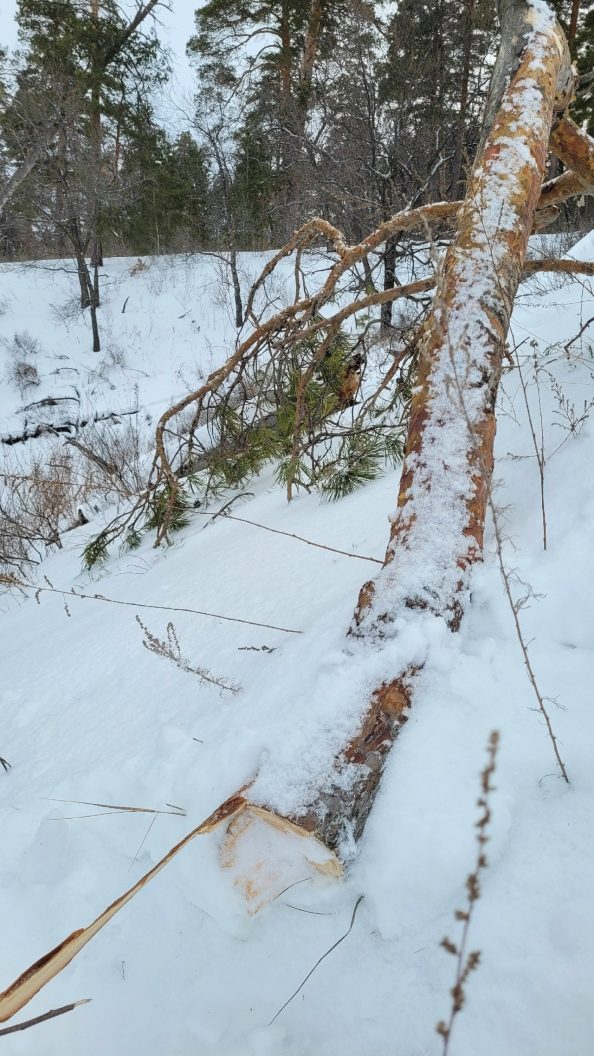 1Ekj-tNYtqlCAlwNCnNTBStBl4-shFbAZy9VdgNRjwsARLgyuRUmgyLAKwWecIUHM7cFDVy1H9Gn8edokTA-DNs4